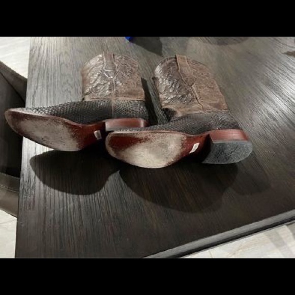 Exotic Python- great condition - Picture 2 of 4